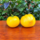324 Minusinsk Mango Tomato, 5 Seeds