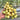W1310 Yueluxiang F1 White Cherry Tomato, 5 Seeds
