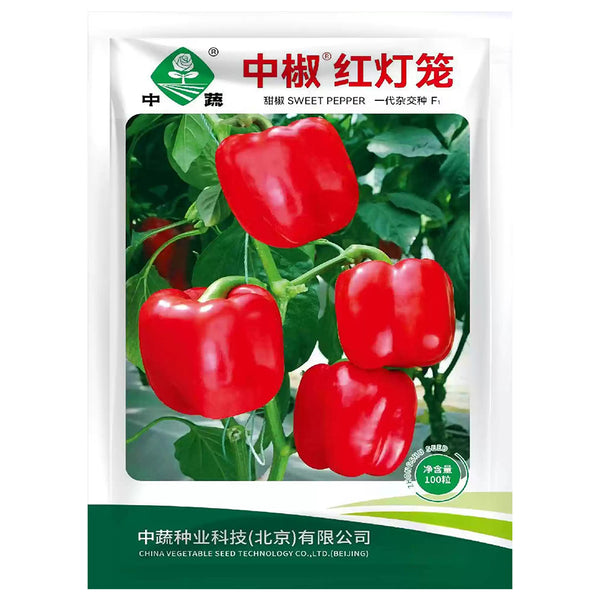 Red Lantern Sweet Pepper Seeds, 100 Seeds