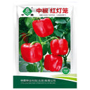 Red Lantern Sweet Pepper Seeds, 100 Seeds