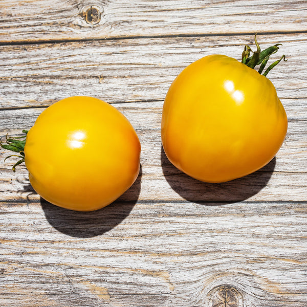 35 Yellow Heart Tomato, 5 Seeds