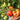 866 Cygnus Giant Tomato, 5 Seeds
