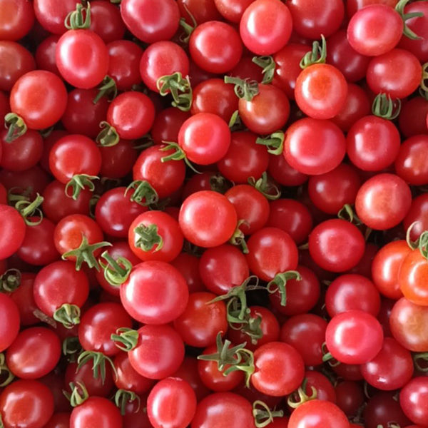 'Sweet Ruby Gem' Cherry Tomato Seeds, 20 Seeds