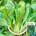 Green Tender Sweet Choy Sum Seeds, 20g