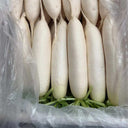 'Guangliang No.22' Radish Seeds, 50g