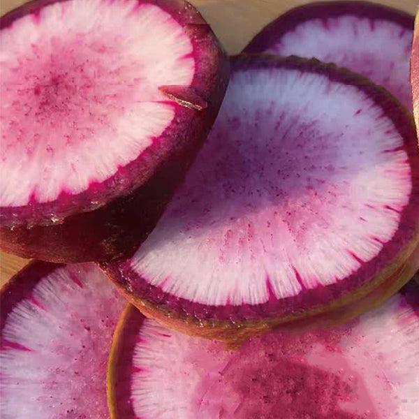 Ice Cream Radish Seeds, 50 Seeds