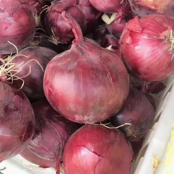Imperial Ruby' Red Onion Seeds, 5g