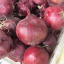 Imperial Ruby' Red Onion Seeds, 5g