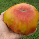 Cocktail Fruit Tomato, 20 Seeds