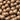 Macadamia Nut, 10 Seeds