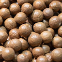 Macadamia Nut, 10 Seeds