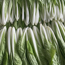 Jiemei Pak Choi Seeds, 25g