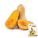 Cream Pumpkin Seeds, 10 Seeds