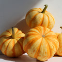 Orange Beibei Pumpkin Seeds, 50 Seeds
