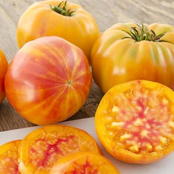 875 Big Rainbow Bicolor Tomato, 5 Seeds