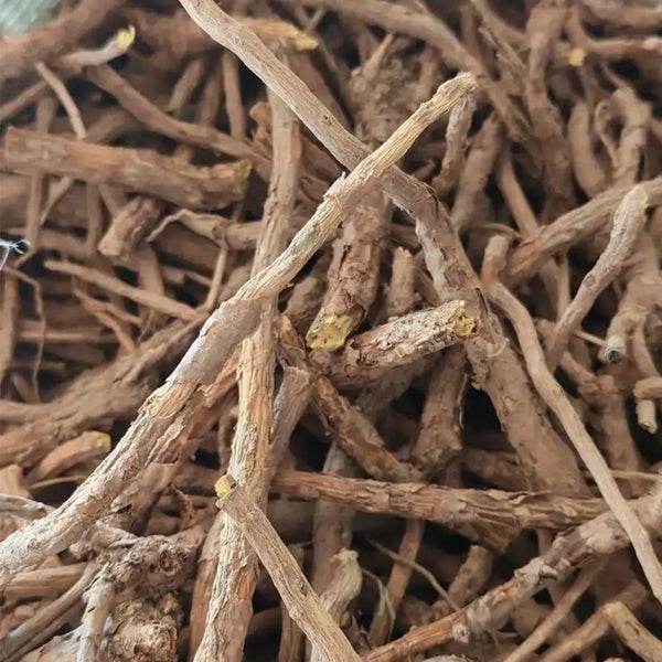 Baical Skullcap, 100 Seeds
