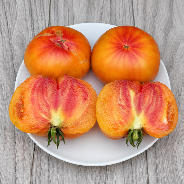 18 Marcy's Mystery Tomato, 5 Seeds