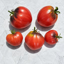 286 Senior Sergeant Tomato, 5 Seeds