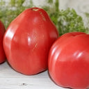 971 Pink Scallop Tomato, 5 Seeds