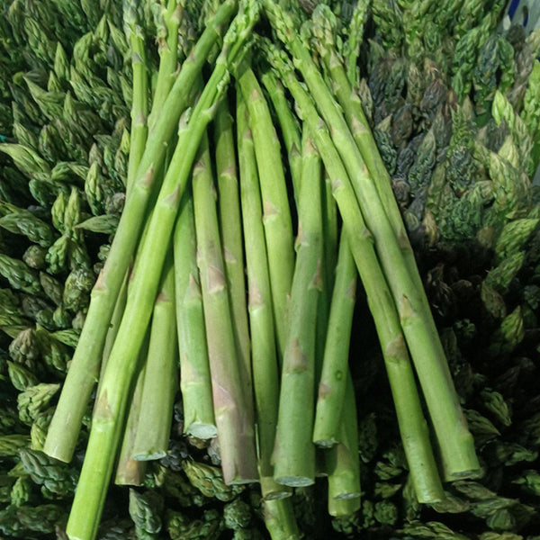 Green Asparagus Seeds, 10g