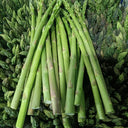 Green Asparagus Seeds, 10g