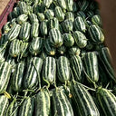 Shengmei No.1 F1 Melon, 200 Seeds