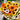 Double Cape Daisy Mixed Colors, 200 Seeds