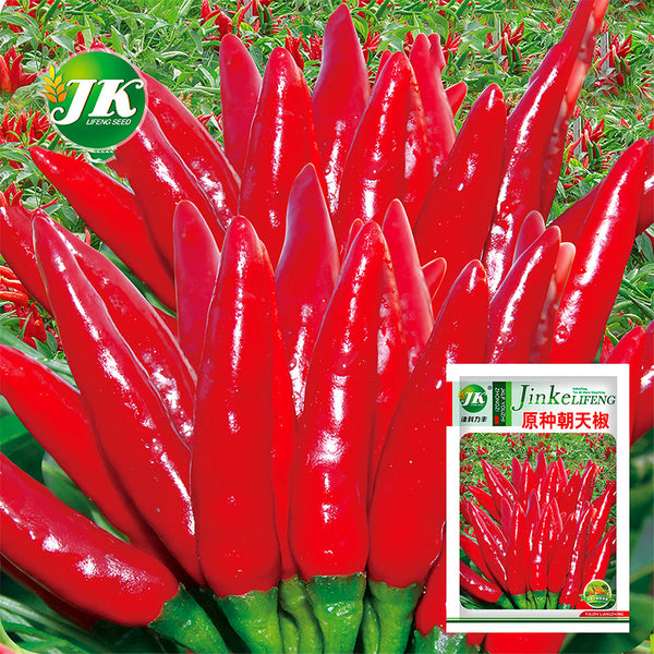 Jinke Lifeng® Red Cluster Pepper Seeds