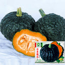 Japanese Black Pumpkin Seeds