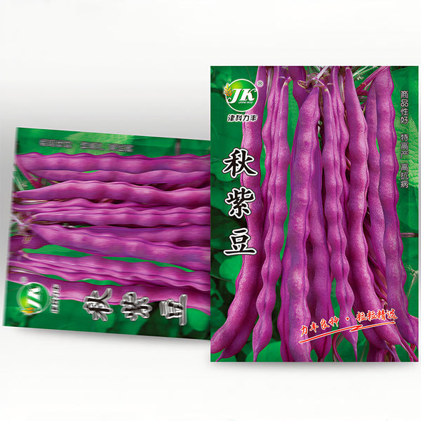 Purple Snap Bean Seeds