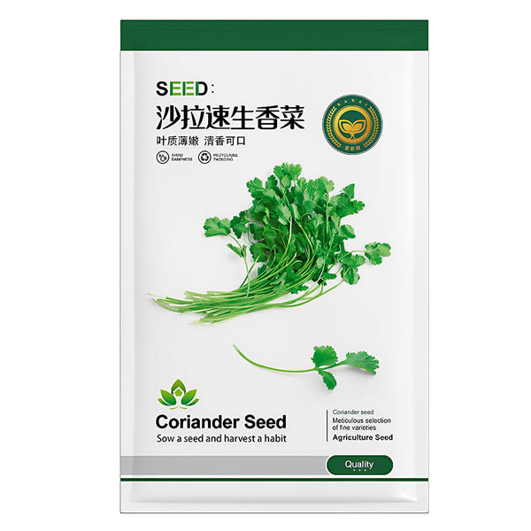 Jingyan Fast-growing Coriander