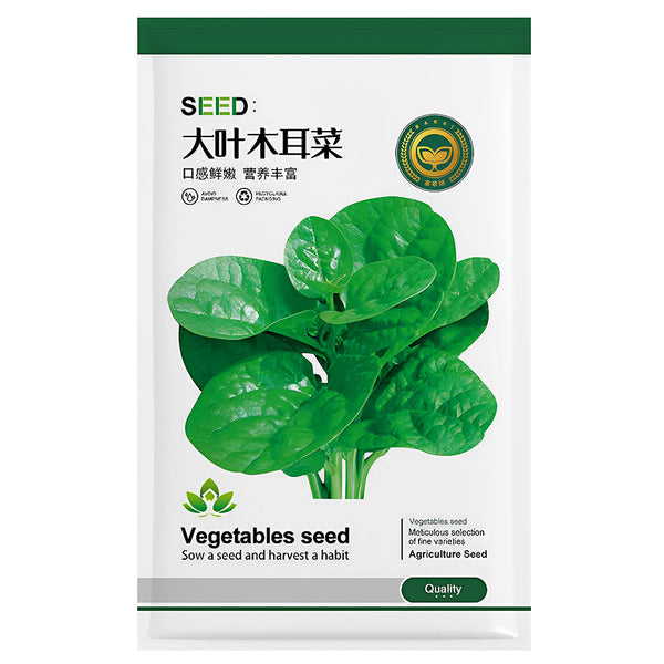 Basella alba Green Malabar spinach Seeds