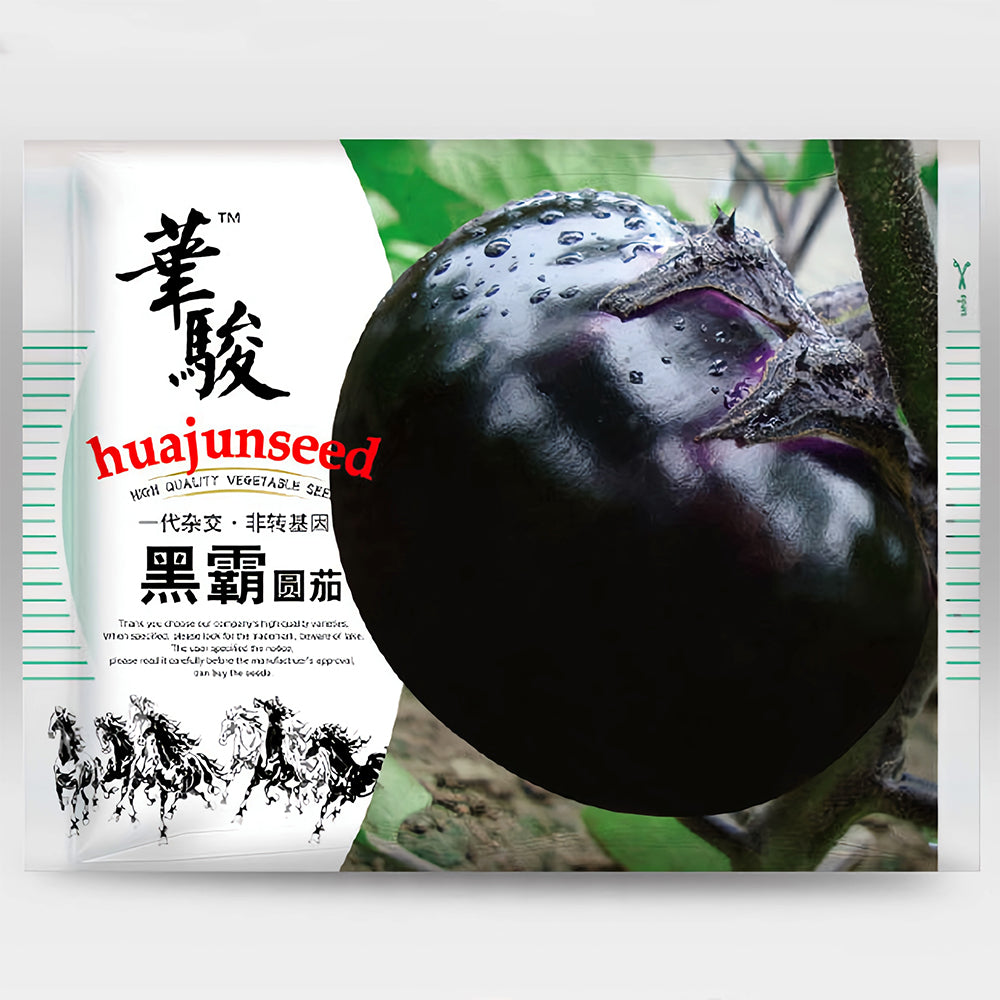 'Black Boss' Round Eggplant Seeds