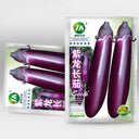 'Purple Dragon' Long Eggplant Seeds