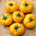 461 Azoychka Tomato, 5 Seeds
