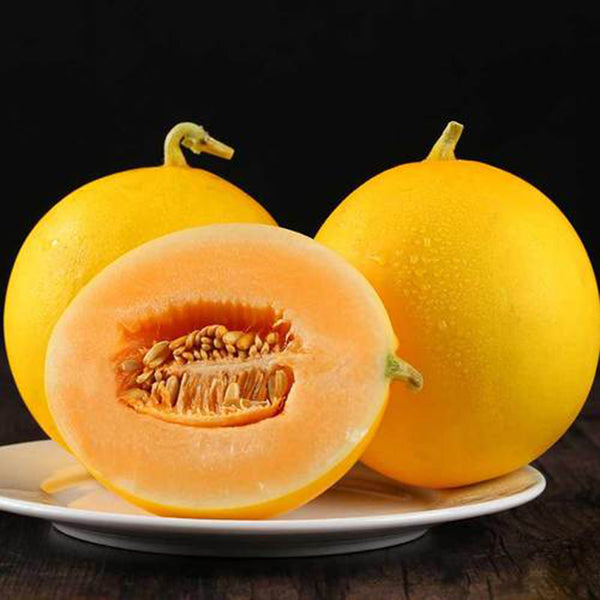 Hongyu Sweet Melon Seeds, 20 Seeds