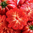 Mushroom Basket Tomato, 20~30 Seeds