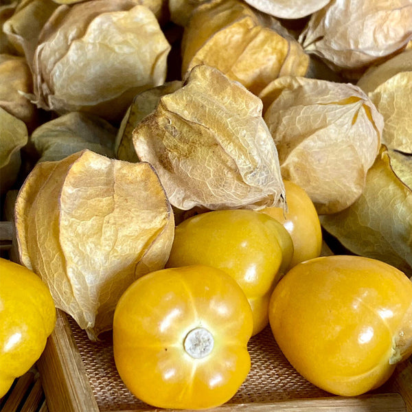 Golden Ground Cherry Seeds, 2g