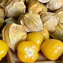 Golden Ground Cherry Seeds, 2g