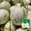 Meteor Silver Jade Melon Seeds, 20 Seeds