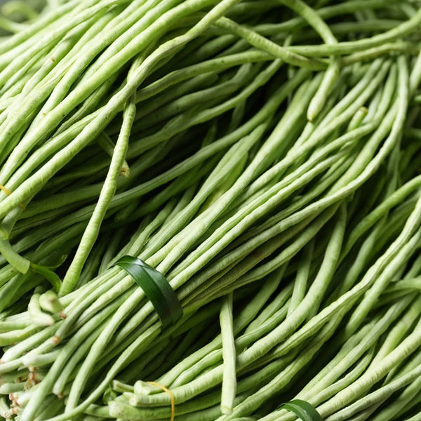 'Zhangtang King' Yardlong Bean Seeds, 50g