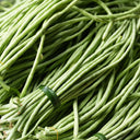 'Zhangtang King' Yardlong Bean Seeds, 50g