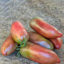 898 Wessel's Purple Pride Tomato, 5 Seeds