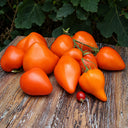210 Night Candle Tomato, 5 Seeds