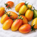987 Shy Blush Tomato, 5 Seeds