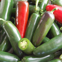 Heirloom Jalapeño Pepper, 10~20 Seeds