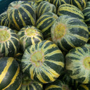 Bing Tangzi Melon, 50 Seeds