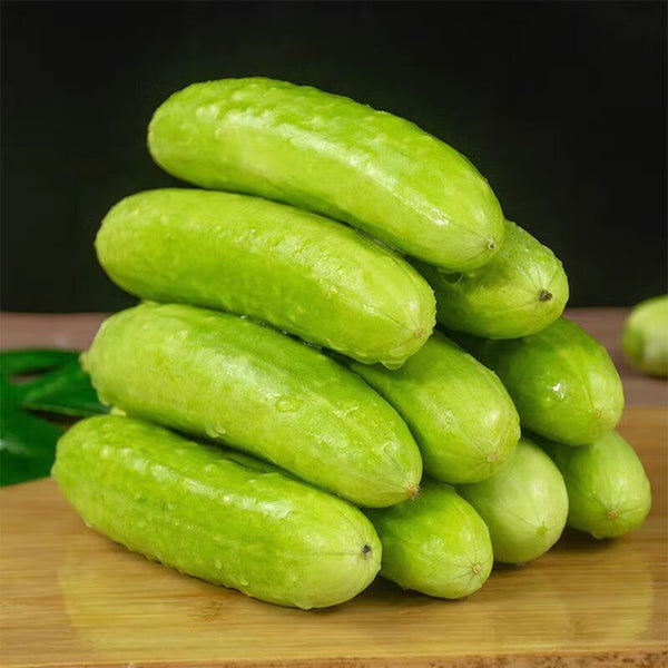 Spineless Creamy Cucumbers Seeds, 50 Seeds