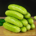 Spineless Creamy Cucumbers Seeds, 50 Seeds
