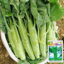 'Jiemei' Big-Stem Chinese Kale Seeds, 10g